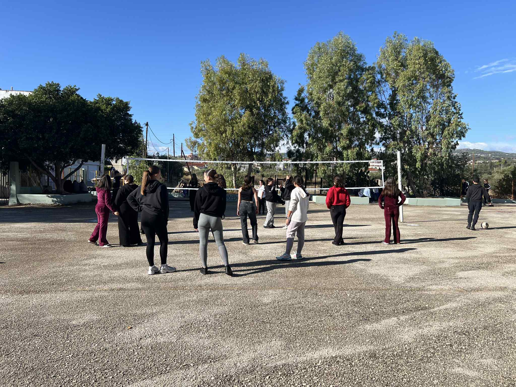 55ccd2c3 d74e 4218 b883 7848aaaa5c3a